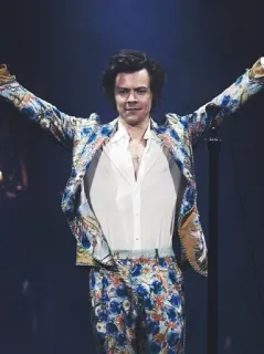 💴 Harry Styles chanteur, célébrité, artiste, musique, mode telegram sticker