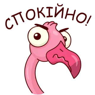 😤 flamingo, pássaro, rosa, desenho animado, engraçado, animal telegram sticker