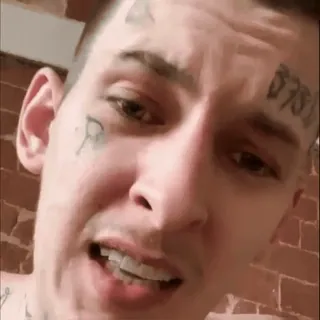 🤬 telegram sticker