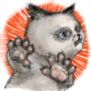 😶 고양이, 동물, 스티커, 만화 고양이, 웃긴, 귀여운 telegram sticker