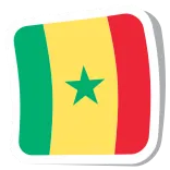 🇸🇳