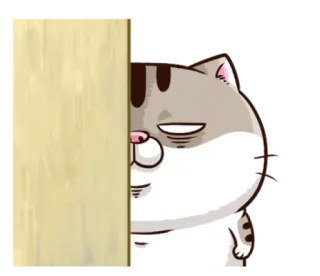 😐 고양이, 빼꼼, 만화, 동물, 스티커 telegram sticker