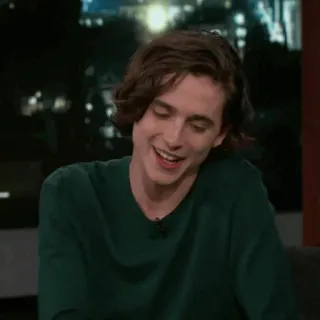 💎 Timothée Chalamet diễn viên, người nổi tiếng, Timothée Chalamet telegram sticker