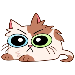 👿 chat, dessin animé, autocollant, animal, mignon whatsapp sticker