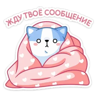 😐 жду твоё сообщение 猫, ブランケット, 可愛い, 待ち, メッセージ, かわいい, 動物 telegram sticker