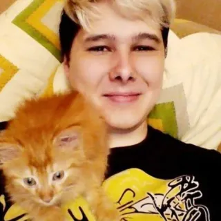 🙂 사람, 고양이, 새끼 고양이, 애완 동물, 미소, 셀카, 인물 사진 telegram sticker