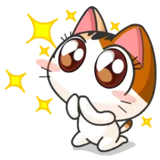 🥺 猫, 可愛い, かわいい, おねだり, キラキラ telegram sticker