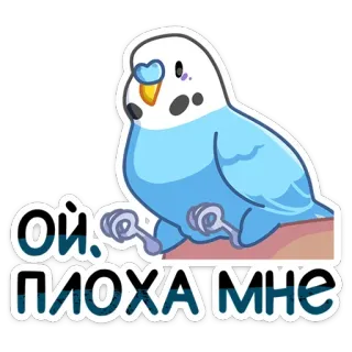 🥴 Ой, плохо мне periquito, pájaro, loro, ruso, pegatina whatsapp sticker