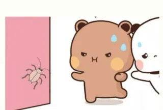 🥺 orsi, carino, animali, scarafaggio, spaventato telegram sticker