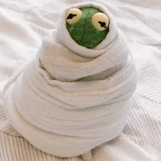 🍤 Kermit Kermit, frog, puppet, towel, wrapped telegram sticker
