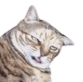 😝 고양이, 동물, 혀, 웃긴, 밈 telegram sticker