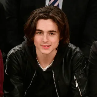 🐚 Timothée Chalamet diễn viên, người nổi tiếng, chân dung, đàn ông, người telegram sticker