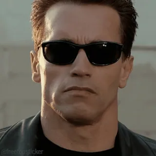 😎 Arnold Schwarzenegger Terminator @freetopsticker 아놀드 슈왈제네거, 터미네이터, 선글라스, 배우, 유명인 telegram sticker
