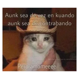 😭 Aunk sea de vez en kuando
aunk sea de contrabando
Pero amameeee kucing, meme, sedih, topi, spanyol telegram sticker