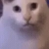 ⁉️