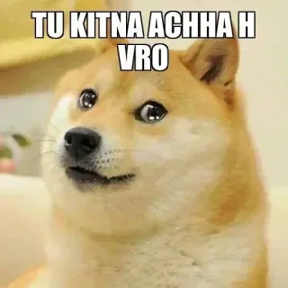 🥲 TU KITNA ACHHA H VRO doge, mem, pies, śmieszne, urocze telegram sticker