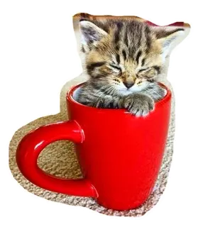 ☕ ลูกแมว, แมว, แก้ว, สัตว์, สัตว์เลี้ยง, น่ารัก telegram sticker