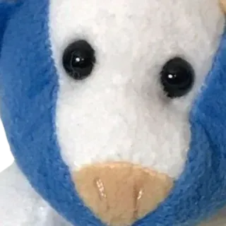 Прикольные мордочки @gogdnota whatsapp stickers