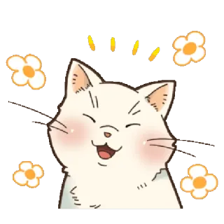 🌼 chat, fleur, mignon, autocollant, dessin animé, animal telegram sticker