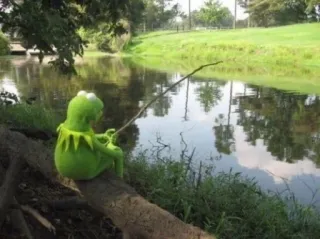 🎣 Kermit kermit, pesca, rana, muppet, meme telegram sticker