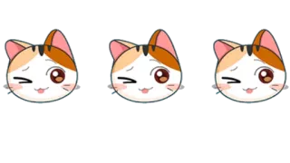 😉 gato, lindo, sticker, emoji, animal, kawaii telegram sticker