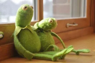 👬 Kermit kermit the frog, frog, muppets, meme, puppet, cute telegram sticker