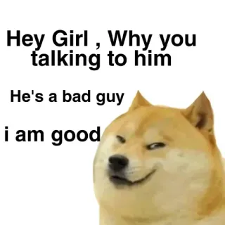 😁 Doge Hey Girl , Why you talking to him He's a bad guy i am good telegram sticker
