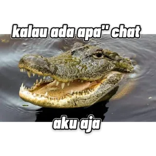 🐊 kalau ada apa" chat aku aja крокодил, животное, чат, текст telegram sticker