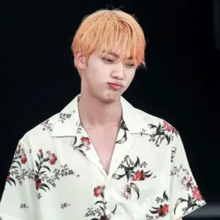 🌸 Jin K-Pop, Penyanyi, Asia, Pria, Tampan, Orang whatsapp sticker