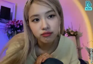 🐿 V LIVE telegram sticker
