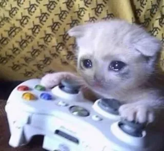 😩 gato, gatito, triste, gaming, mando, Xbox telegram sticker