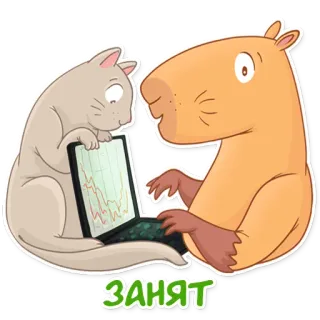💻 Занят kucing, capybara, komputer, laptop, sibuk telegram sticker