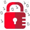 🔒
