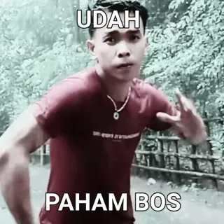 🌟 UDAH PAHAM BOS whatsapp sticker