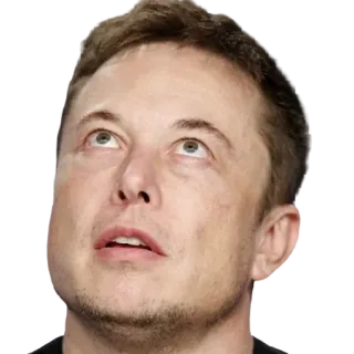 🙄 Elon Musk elon musk, tecnologia, empreendedor, negócios, ceo telegram sticker