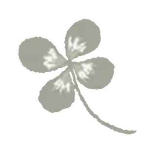 🍀