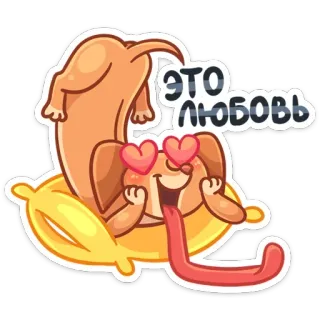 😍 ЭТО ЛЮБОВЬ anjing, cinta, mata hati, imut, binatang, kartun telegram sticker