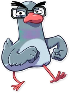 👨 paloma, pájaro, gafas, dibujos animados, nerd telegram sticker
