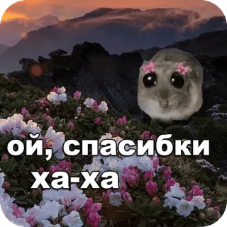 🥰 ой, спасибки ха-ха hamster, fofo, flores, montanhas, texto russo, olhos brilhantes telegram sticker