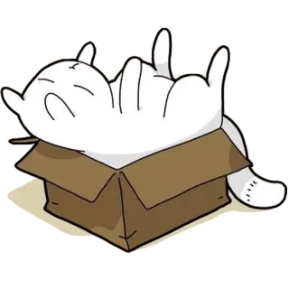 😴 gato, caixa, gatinho, animal de estimação, animal, fofo, engraçado whatsapp sticker