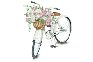 Ⓜ️ fahrrad, blumen, korb, vintage, rad, aquarell whatsapp sticker