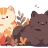 🐱