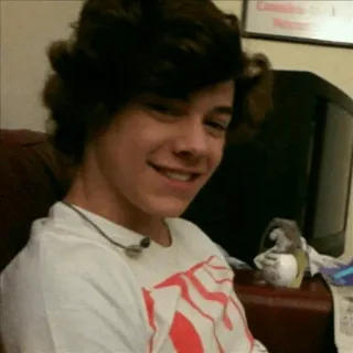 🍩 Harry Styles singer, celebrity, portrait, person, smiling telegram sticker