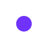 🟣