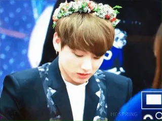 😞 HI SPRING kpop, fan, bloemenkrans, idool, portret telegram sticker