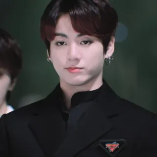 🐰 Jungkook kpop, jungkook, 歌手, 男, 偶像, 韩国 telegram sticker