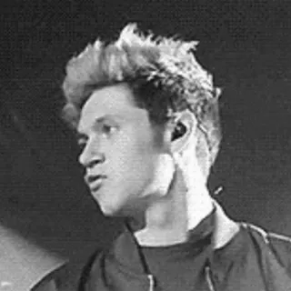 🍕 Niall Horan певец, знаменитость, портрет, музыка, One Direction telegram sticker