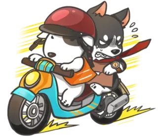 🏍 dogs, animals, cartoon, scooter, motorbike, helmet, cute, driving telegram sticker