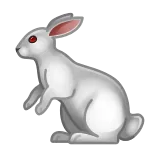 🐇