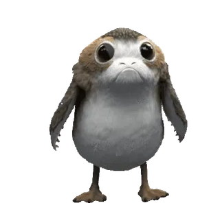 🐥 Porg Star Wars Porg, Star Wars, süß, Vogel, Tier, Film, Charakter, Weltraum telegram sticker